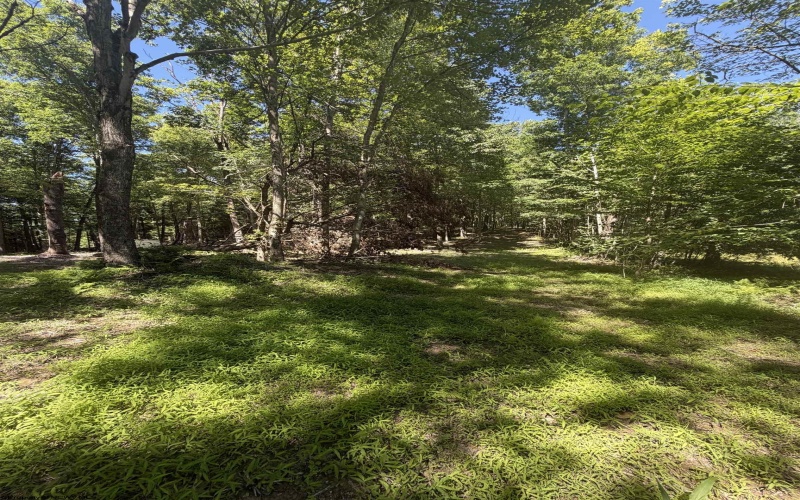 105 Laural Loop, Bruceton Mills, West Virginia 26525, ,Lots/land,For Sale,Laural,10165501 105 Laural Loop, Bruceton Mills, West Virginia 26525, ,Lots/land,For Sale,Laural,10165501