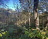Lot 7 CANNON HILL Road, Rowlesburg, West Virginia 26425, ,Lots/land,For Sale,CANNON HILL,10165519