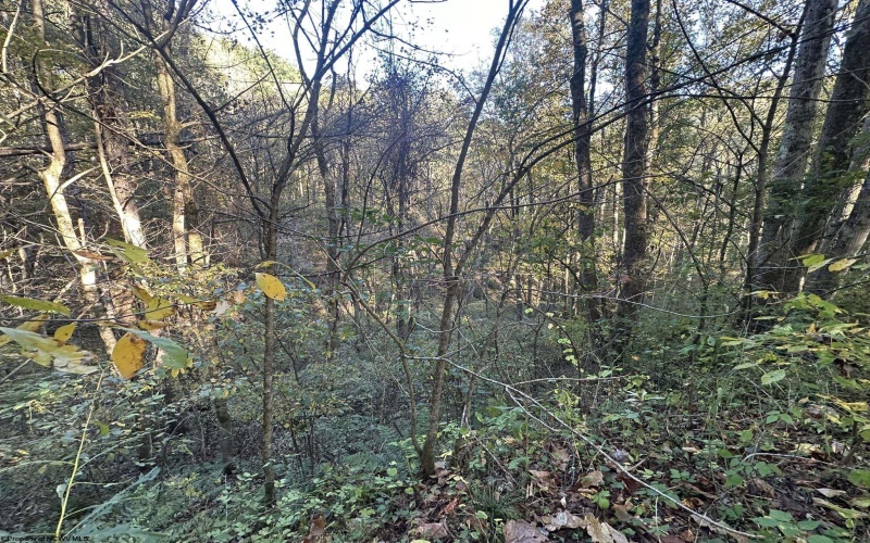 Lot 7 CANNON HILL Road, Rowlesburg, West Virginia 26425, ,Lots/land,For Sale,CANNON HILL,10165519