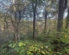 Lot 7 CANNON HILL Road, Rowlesburg, West Virginia 26425, ,Lots/land,For Sale,CANNON HILL,10165519