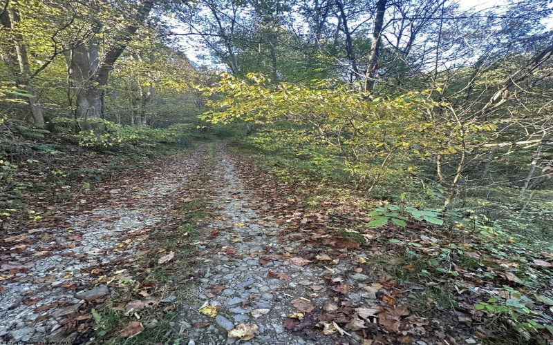 Lot 7 CANNON HILL Road, Rowlesburg, West Virginia 26425, ,Lots/land,For Sale,CANNON HILL,10165519