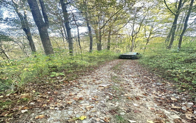 Lot 7 CANNON HILL Road, Rowlesburg, West Virginia 26425, ,Lots/land,For Sale,CANNON HILL,10165519