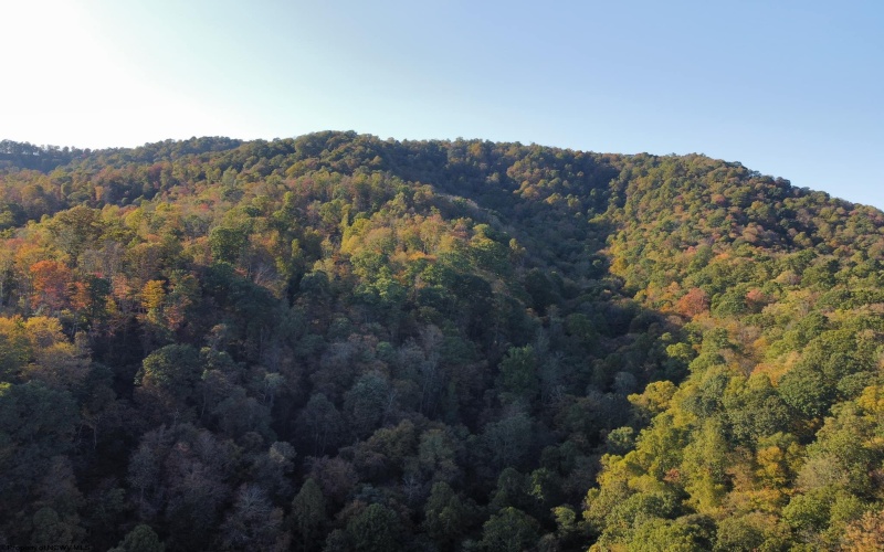 Lot 7 CANNON HILL Road, Rowlesburg, West Virginia 26425, ,Lots/land,For Sale,CANNON HILL,10165519