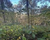Lot 7 CANNON HILL Road, Rowlesburg, West Virginia 26425, ,Lots/land,For Sale,CANNON HILL,10165519