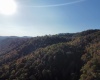 Lot 7 CANNON HILL Road, Rowlesburg, West Virginia 26425, ,Lots/land,For Sale,CANNON HILL,10165519