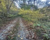 Lot 7 CANNON HILL Road, Rowlesburg, West Virginia 26425, ,Lots/land,For Sale,CANNON HILL,10165519