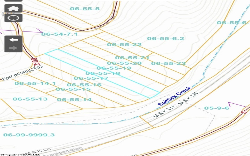 Lot 7 CANNON HILL Road, Rowlesburg, West Virginia 26425, ,Lots/land,For Sale,CANNON HILL,10165519