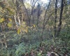 Lot 7 CANNON HILL Road, Rowlesburg, West Virginia 26425, ,Lots/land,For Sale,CANNON HILL,10165519