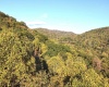 Lot 7 CANNON HILL Road, Rowlesburg, West Virginia 26425, ,Lots/land,For Sale,CANNON HILL,10165519
