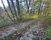 Lot 7 CANNON HILL Road, Rowlesburg, West Virginia 26425, ,Lots/land,For Sale,CANNON HILL,10165519