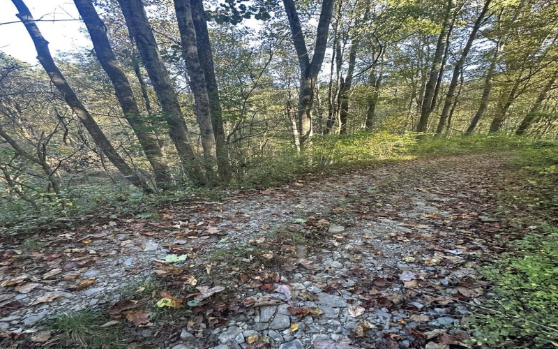 Lot 7 CANNON HILL Road, Rowlesburg, West Virginia 26425, ,Lots/land,For Sale,CANNON HILL,10165519