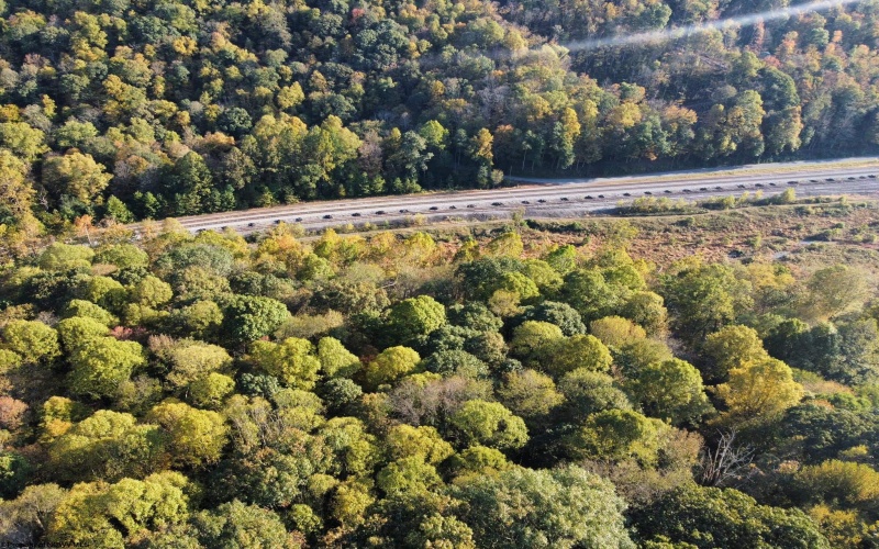 Lot 7 CANNON HILL Road, Rowlesburg, West Virginia 26425, ,Lots/land,For Sale,CANNON HILL,10165519