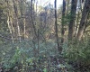 Lot 7 CANNON HILL Road, Rowlesburg, West Virginia 26425, ,Lots/land,For Sale,CANNON HILL,10165519
