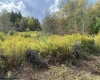 Lot 47 Mountain View Drive, Davis, West Virginia 26260, ,Lots/land,For Sale,Mountain View,10165512 Lot 47 Mountain View Drive, Davis, West Virginia 26260, ,Lots/land,For Sale,Mountain View,10165512