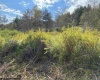 Lot 47 Mountain View Drive, Davis, West Virginia 26260, ,Lots/land,For Sale,Mountain View,10165512 Lot 47 Mountain View Drive, Davis, West Virginia 26260, ,Lots/land,For Sale,Mountain View,10165512