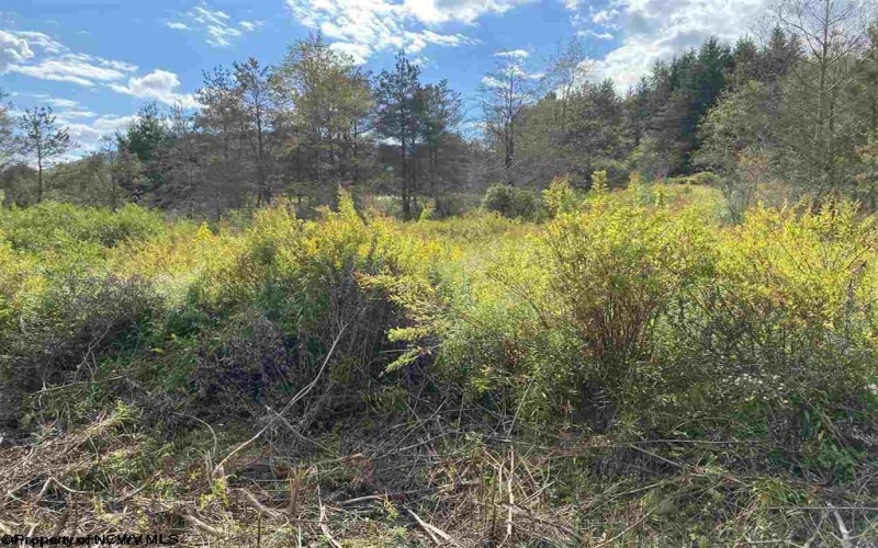 Lot 47 Mountain View Drive, Davis, West Virginia 26260, ,Lots/land,For Sale,Mountain View,10165512 Lot 47 Mountain View Drive, Davis, West Virginia 26260, ,Lots/land,For Sale,Mountain View,10165512