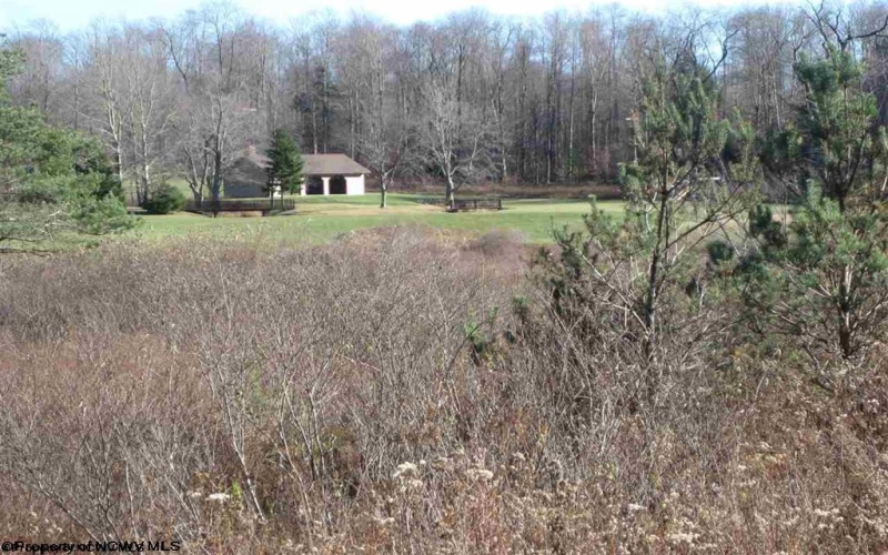Lot 49 Mountain View Drive, Davis, West Virginia 26260, ,Lots/land,For Sale,Mountain View,10165513 Lot 49 Mountain View Drive, Davis, West Virginia 26260, ,Lots/land,For Sale,Mountain View,10165513