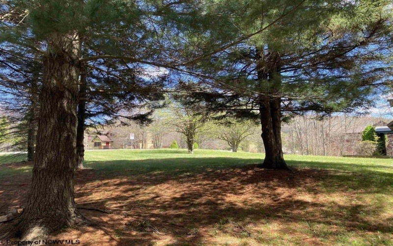2524 Timberline Road, Davis, West Virginia 26260, 4 Bedrooms Bedrooms, 8 Rooms Rooms,3 BathroomsBathrooms,Single Family Detached,For Sale,Timberline,10165511