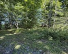 TBD Suds Run Road, Mount Clare, West Virginia 26408, ,Lots/land,For Sale,Suds Run,10165537