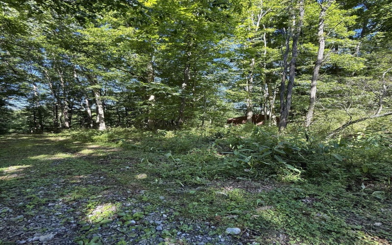 TBD Suds Run Road, Mount Clare, West Virginia 26408, ,Lots/land,For Sale,Suds Run,10165537