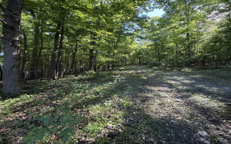 TBD Suds Run Road, Mount Clare, West Virginia 26408, ,Lots/land,For Sale,Suds Run,10165537