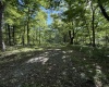 TBD Suds Run Road, Mount Clare, West Virginia 26408, ,Lots/land,For Sale,Suds Run,10165537