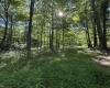 TBD Suds Run Road, Mount Clare, West Virginia 26408, ,Lots/land,For Sale,Suds Run,10165537