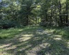 TBD Suds Run Road, Mount Clare, West Virginia 26408, ,Lots/land,For Sale,Suds Run,10165537
