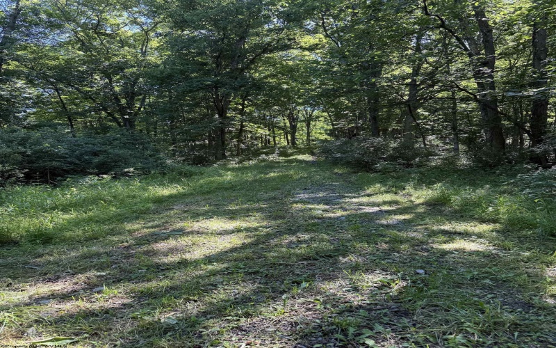 TBD Suds Run Road, Mount Clare, West Virginia 26408, ,Lots/land,For Sale,Suds Run,10165537