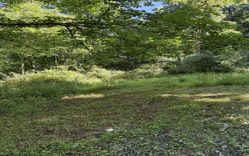 TBD Suds Run Road, Mount Clare, West Virginia 26408, ,Lots/land,For Sale,Suds Run,10165537