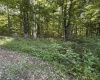 TBD Suds Run Road, Mount Clare, West Virginia 26408, ,Lots/land,For Sale,Suds Run,10165537