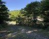 TBD Suds Run Road, Mount Clare, West Virginia 26408, ,Lots/land,For Sale,Suds Run,10165537