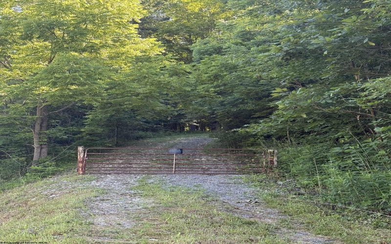 TBD Suds Run Road, Mount Clare, West Virginia 26408, ,Lots/land,For Sale,Suds Run,10165537