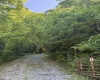 TBD Suds Run Road, Mount Clare, West Virginia 26408, ,Lots/land,For Sale,Suds Run,10165537