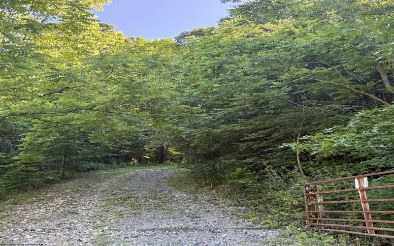TBD Suds Run Road, Mount Clare, West Virginia 26408, ,Lots/land,For Sale,Suds Run,10165537
