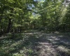 TBD Suds Run Road, Mount Clare, West Virginia 26408, ,Lots/land,For Sale,Suds Run,10165537