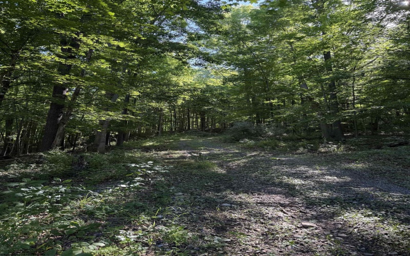 TBD Suds Run Road, Mount Clare, West Virginia 26408, ,Lots/land,For Sale,Suds Run,10165537