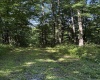 TBD Suds Run Road, Mount Clare, West Virginia 26408, ,Lots/land,For Sale,Suds Run,10165537