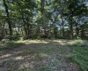 TBD Suds Run Road, Mount Clare, West Virginia 26408, ,Lots/land,For Sale,Suds Run,10165537