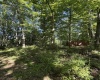 TBD Suds Run Road, Mount Clare, West Virginia 26408, ,Lots/land,For Sale,Suds Run,10165537