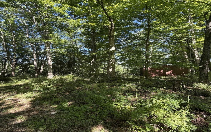 TBD Suds Run Road, Mount Clare, West Virginia 26408, ,Lots/land,For Sale,Suds Run,10165537