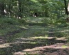 TBD Suds Run Road, Mount Clare, West Virginia 26408, ,Lots/land,For Sale,Suds Run,10165537