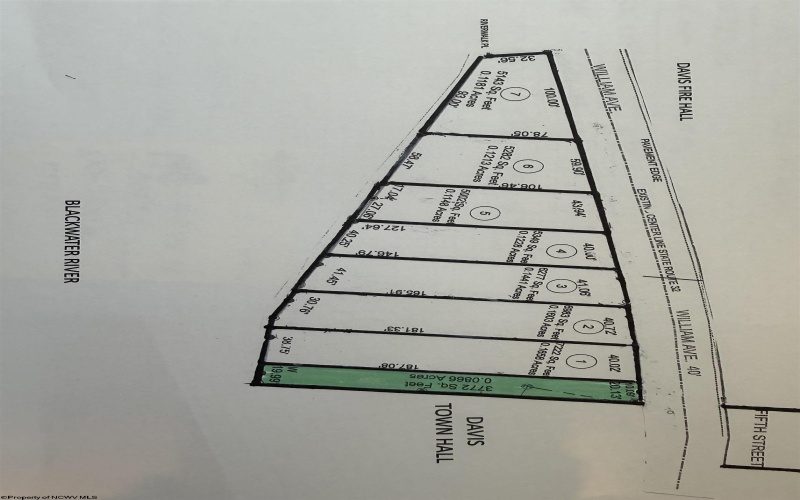 533 William Avenue, Davis, West Virginia 26260, ,Lots/land,For Sale,William,10165556