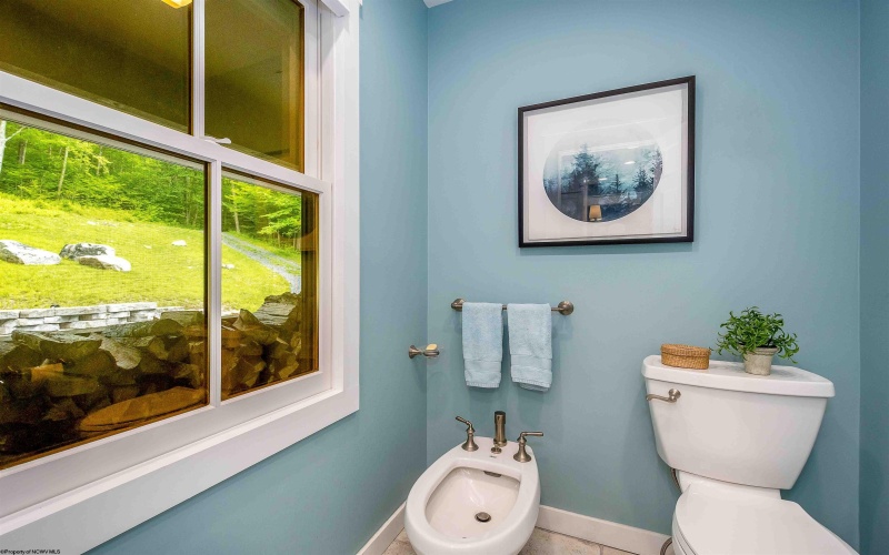 1077 Sand Run Road, Davis, West Virginia 26260, 4 Bedrooms Bedrooms, 14 Rooms Rooms,3 BathroomsBathrooms,Single Family Detached,For Sale,Sand Run,10165540