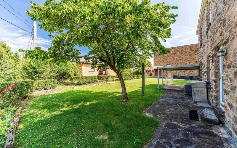 260 High Street, Morgantown, West Virginia 26505, 3 Bedrooms Bedrooms, 8 Rooms Rooms,1 BathroomBathrooms,Single Family Detached,For Sale,High,10165547