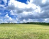 Lot B Cortland Road, Davis, West Virginia 26260-0000, ,Lots/land,For Sale,Cortland,10165563