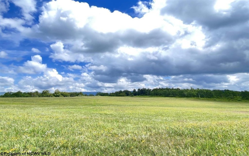 Lot B Cortland Road, Davis, West Virginia 26260-0000, ,Lots/land,For Sale,Cortland,10165563
