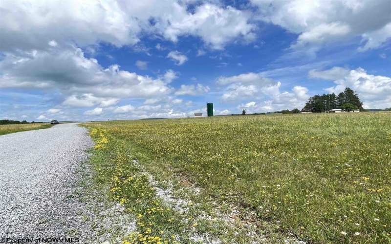 Lot B Cortland Road, Davis, West Virginia 26260-0000, ,Lots/land,For Sale,Cortland,10165563