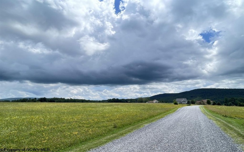 Lot B Cortland Road, Davis, West Virginia 26260-0000, ,Lots/land,For Sale,Cortland,10165563