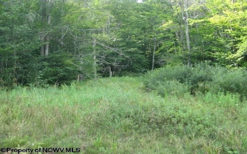 Lot 3 Northlake Drive, Davis, West Virginia 26260-0000, ,Lots/land,For Sale,Northlake,10165564